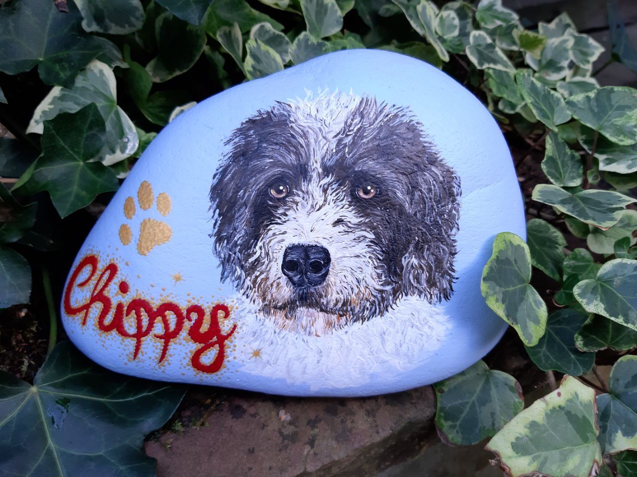 hellblauer Hintergrund, goldene Pfote