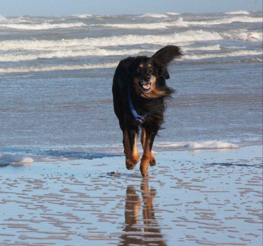 Foto Balduin am Meer