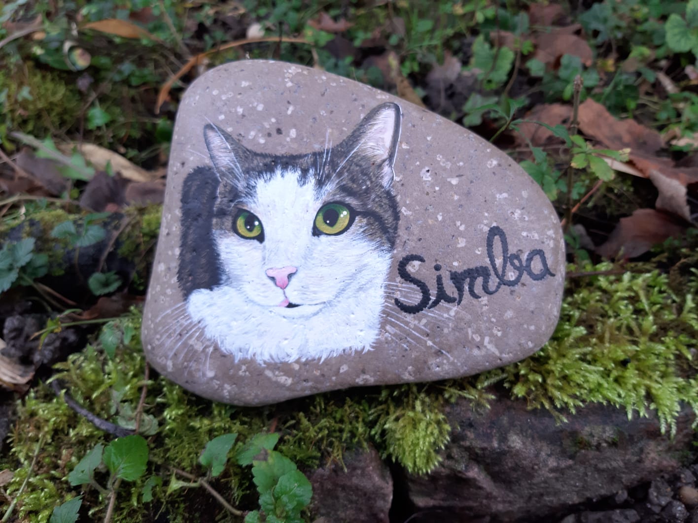 Weißes Gesicht mit graugetigert