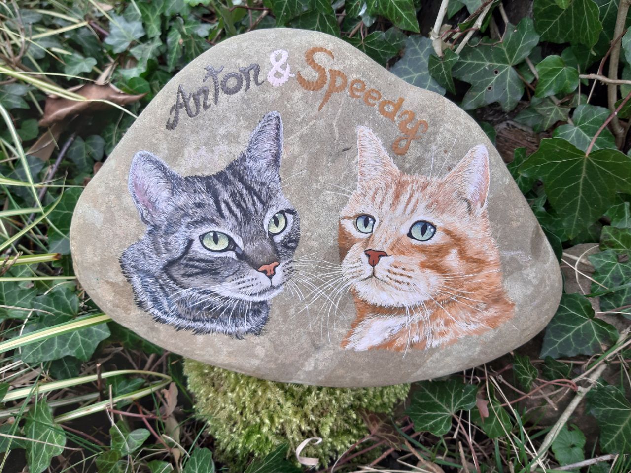 sich zugewandte Katzenköpfe