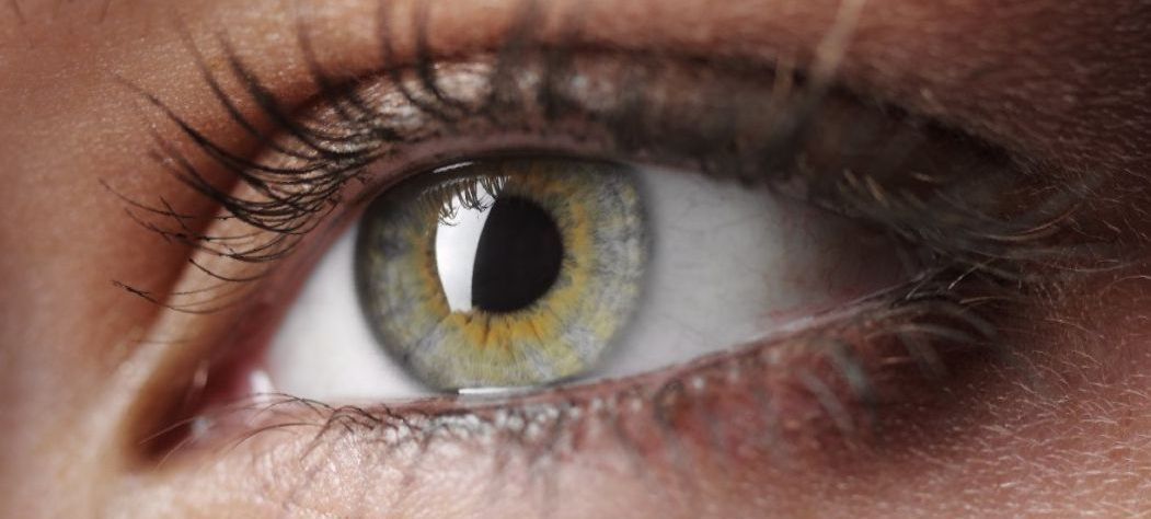 Augendiagnose Naturheilpraxis Bammert