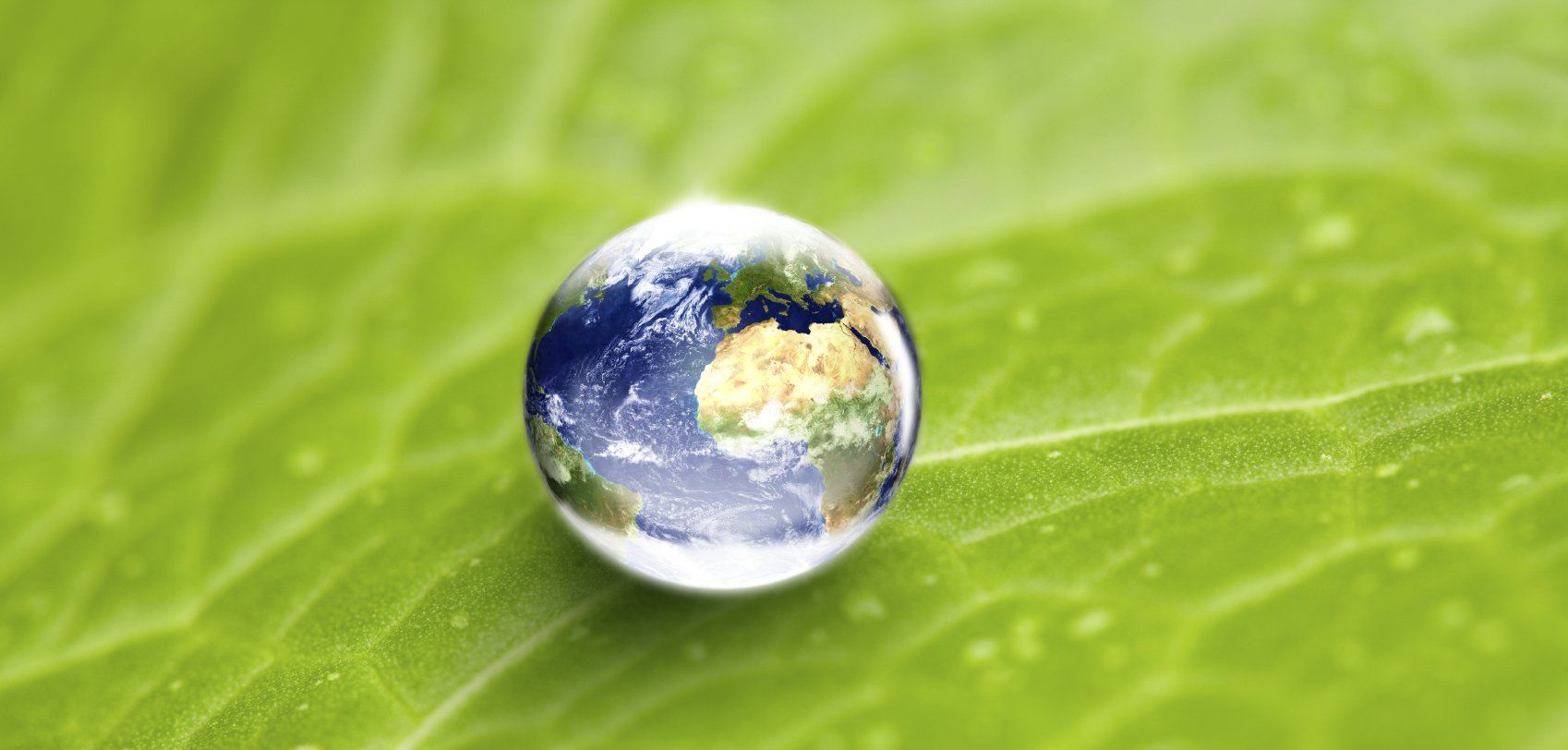 Prävention Naturheilpraxis Bammert