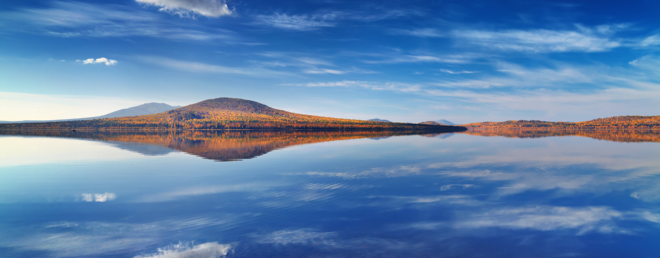 écothérapie : la nature, miroir à émotion