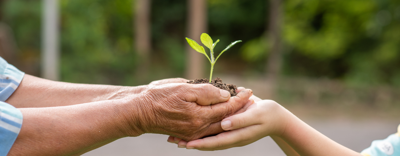 L'hypnose éricksonienne : un voyage vers l'autonomie