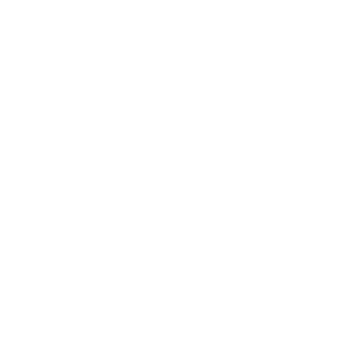 Logo noir et blanc Stéphane RALLIER