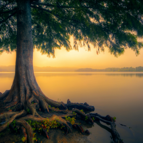 La subtilité de l'accompagnement en cabinet