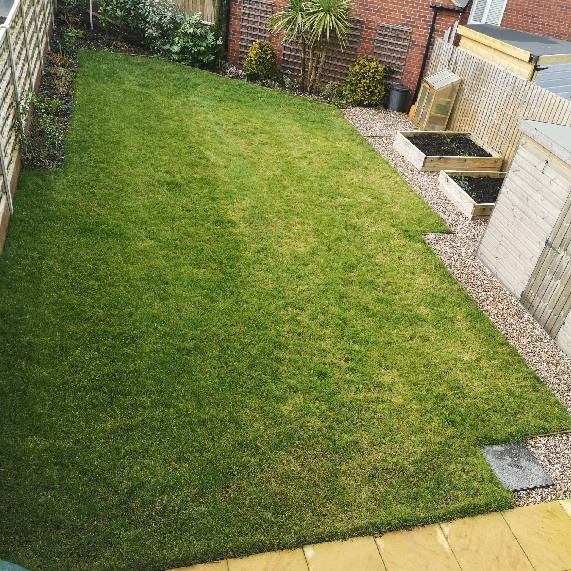 Lawn