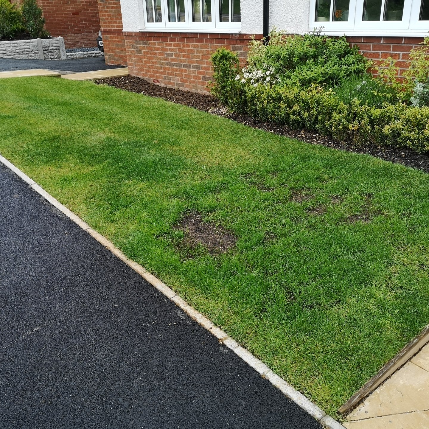 Lawn