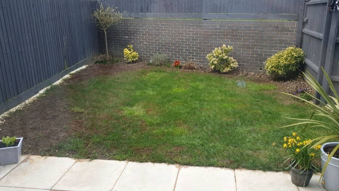 Lawn