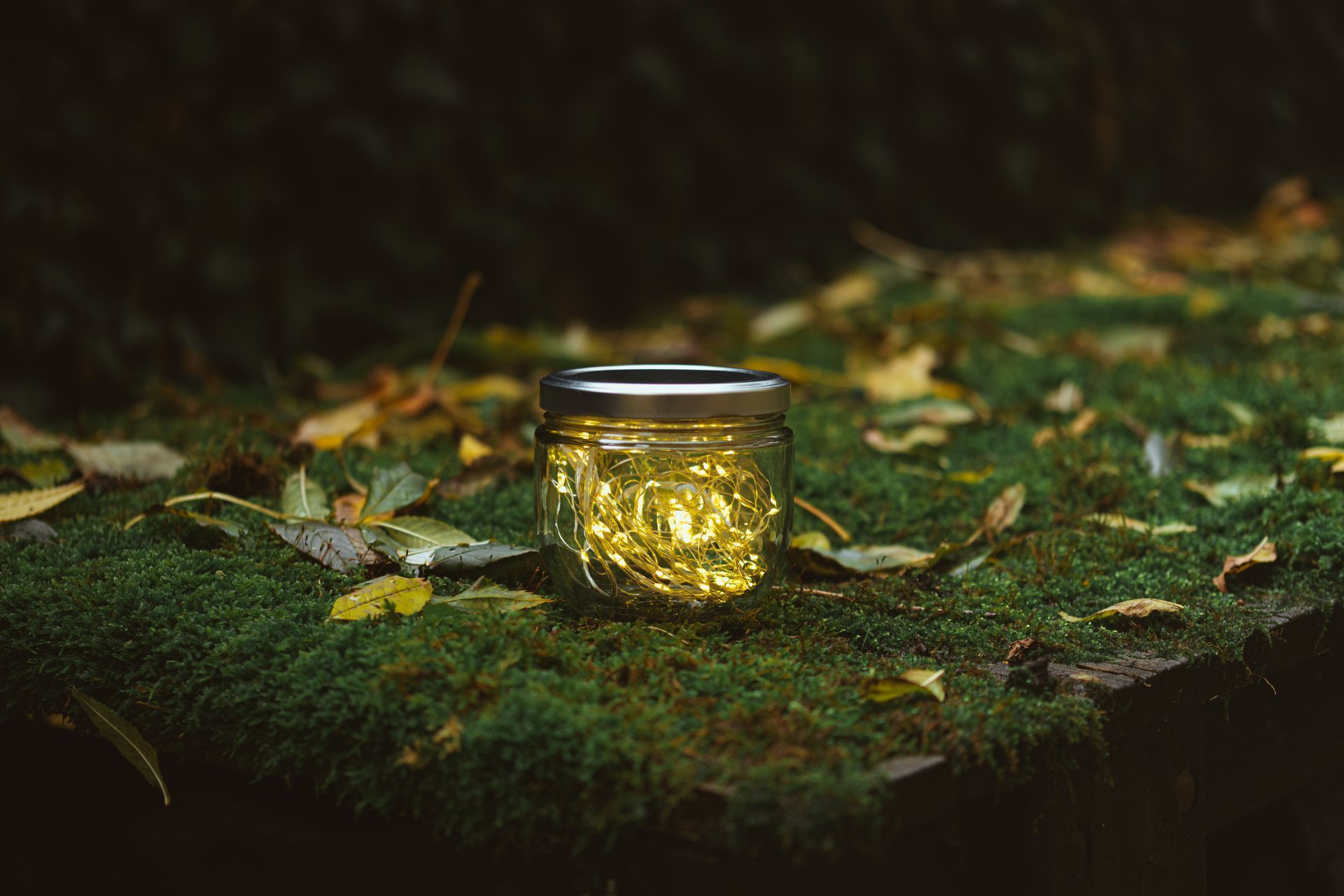 Wie Sie Ihren Deckeln ein zweites Leben schenken