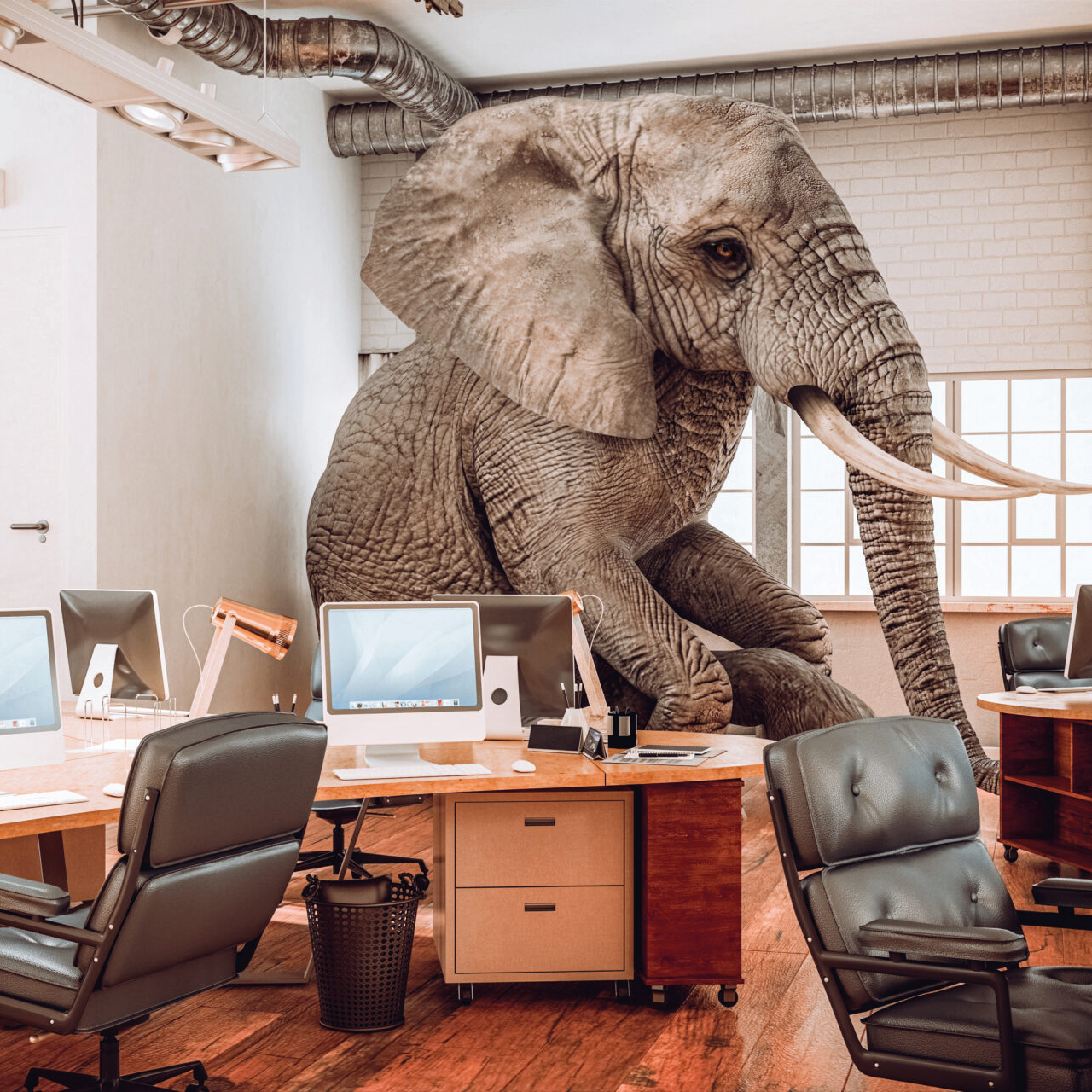 Lucy-Philip-article-on-measurement-published-in-Chief-Learning-Officer-publication