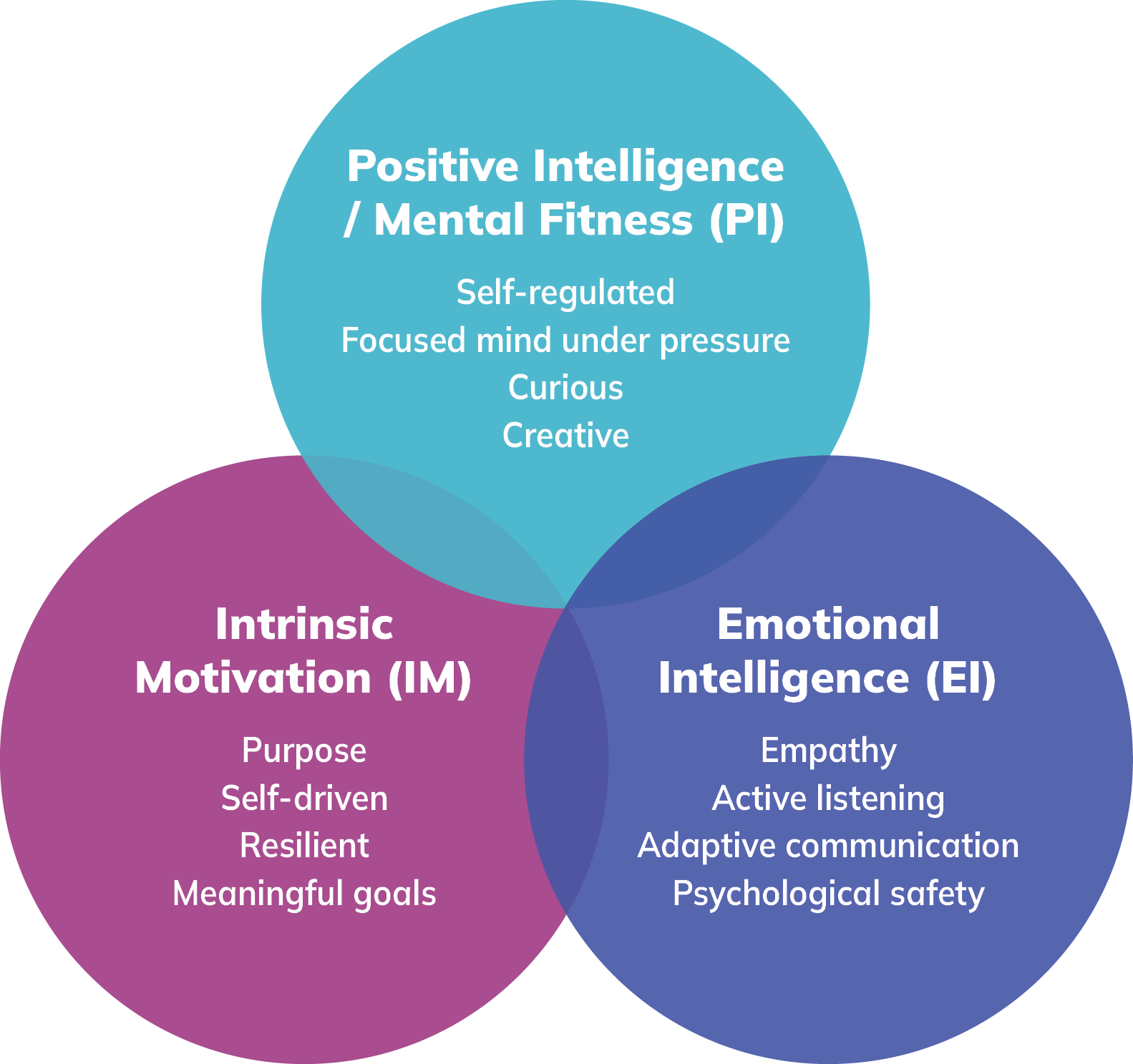 The-Leadership-Operating-System-Purposefully-Blended
