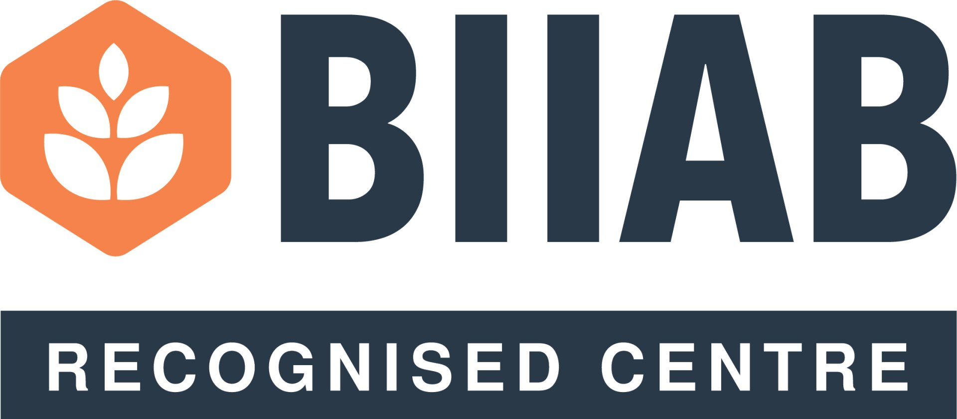 optical assistant apprenticeship