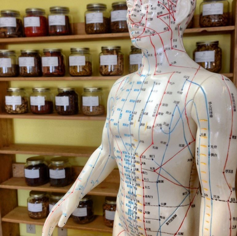 Ganzheitliche Medizin Berlin - Nadja Hamer