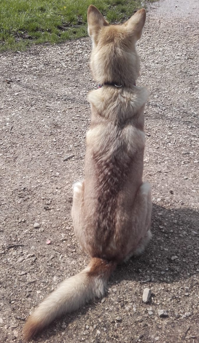 11. April 2019 - 41. Tag