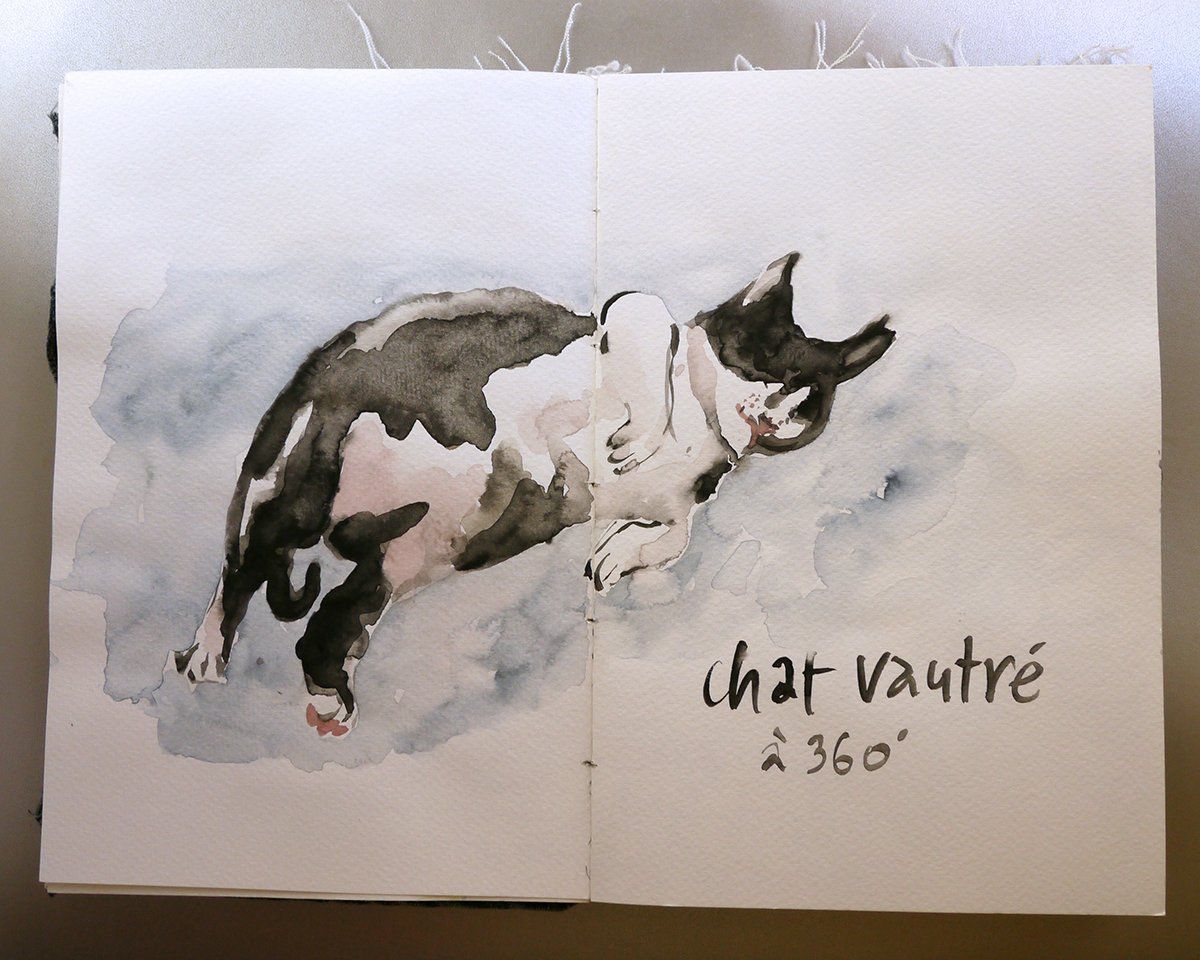 aquarelle dessin du chat allongé