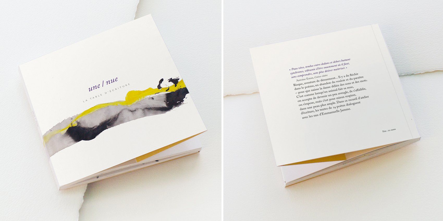 Voir les publications couverture du livre