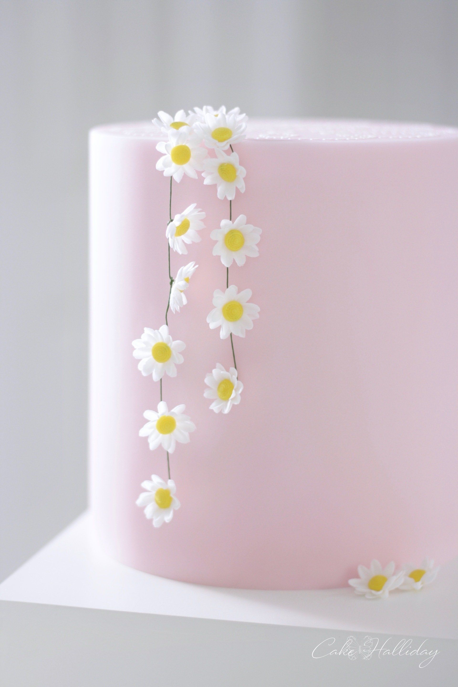 Pink single tier wedding cake with daisy chain