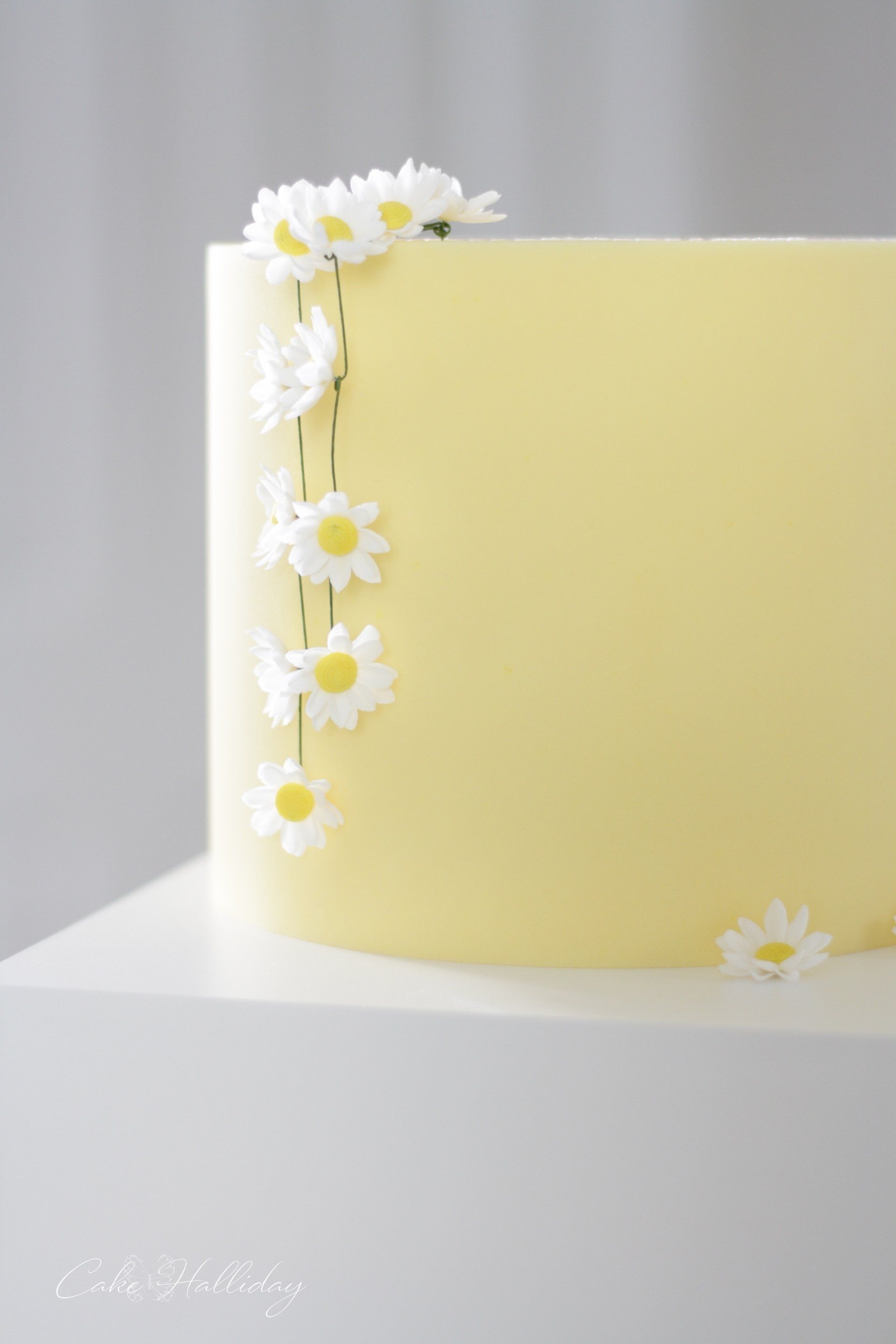 Yellow single tier wedding cake  with daisy chain