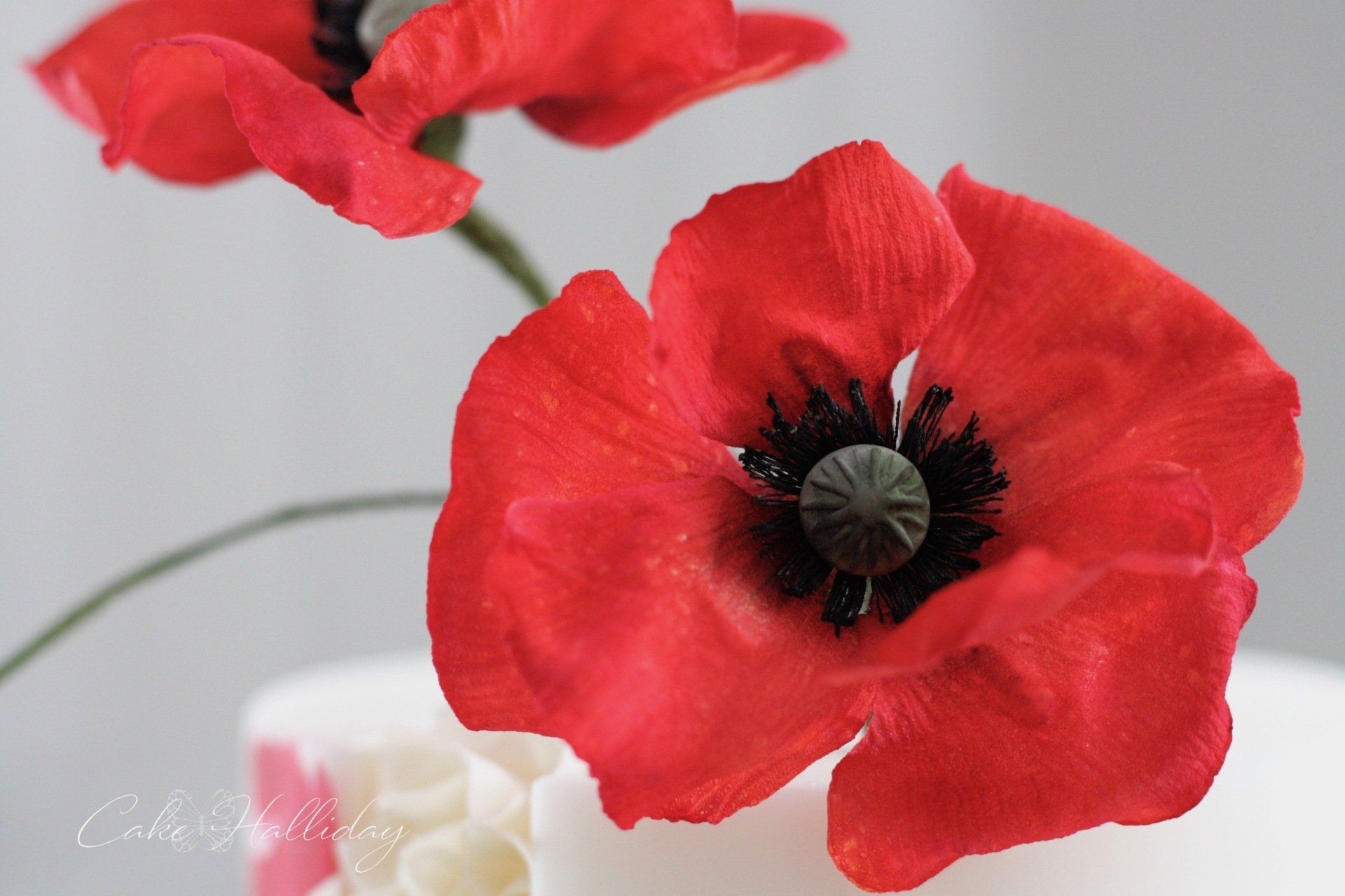 Wafer paper & painted poppies cake with ruffles