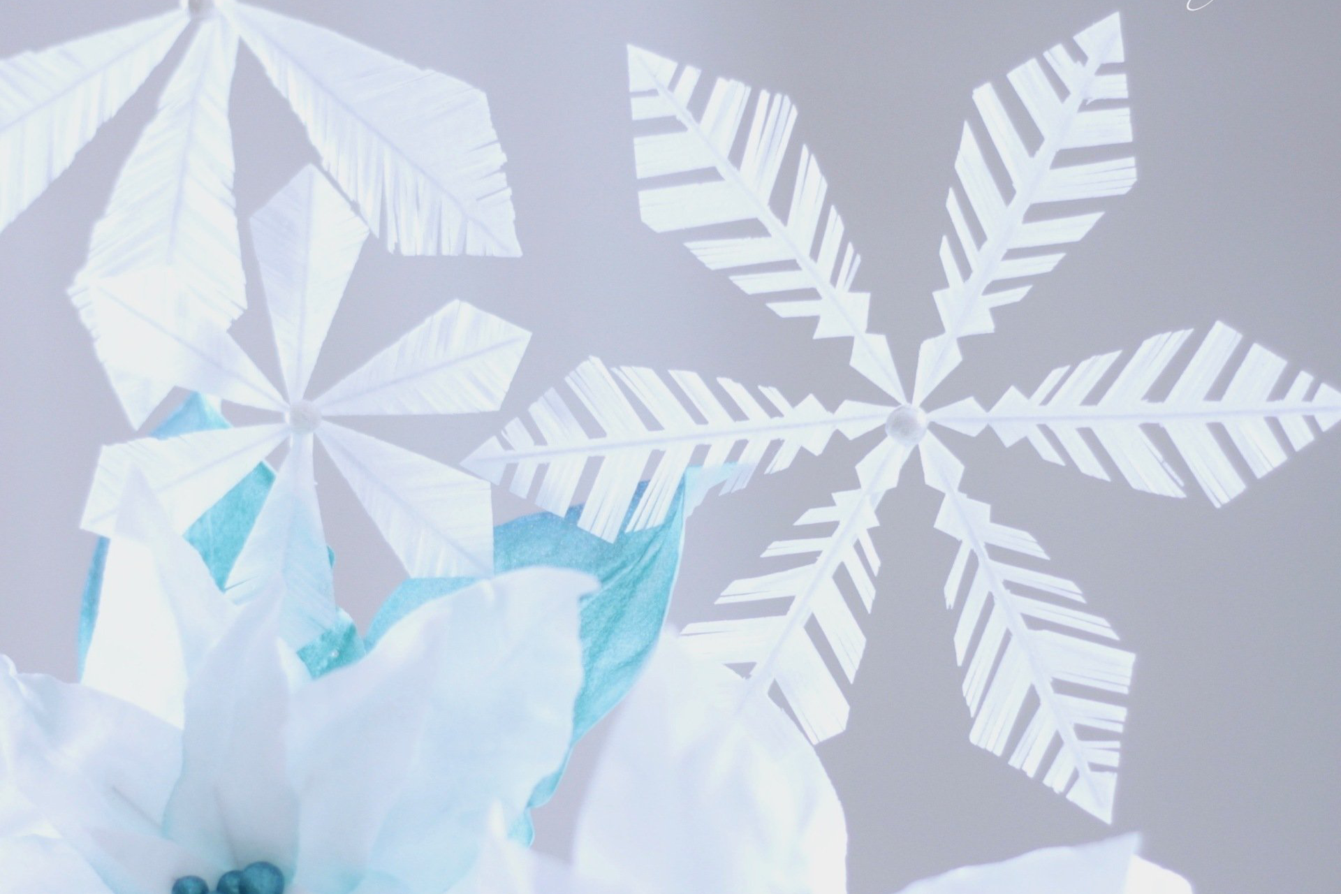 Wafer paper poinsettias & snowflakes