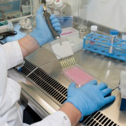 Entwicklung und Forschung Zahnarzt Doz. DDr. Heinz-Dieter Müller, PhD Entwicklung und Forschung Zahnarzt Doz. DDr. Heinz-Dieter Müller, PhD