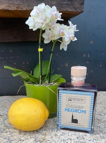 Giesinger_Negroni_mit_Zitrone