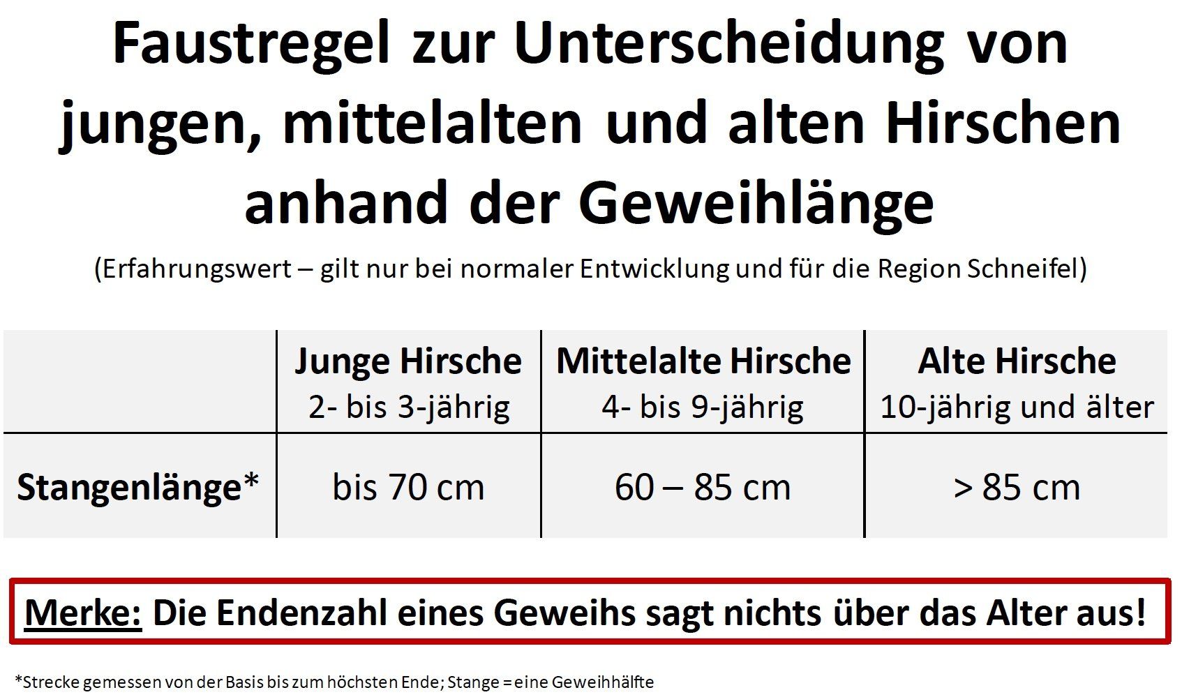 Abb. 1, oben: Der Unterkieferast mit Backenzähnen eines Kalbs. Typisch 4 Backenzähne, der dritte Backenzahn P 3 ist noch Milchzahn Abb. 1, oben: Der Unterkieferast mit Backenzähnen eines Kalbs. Typisch 4 Backenzähne, der dritte Backenzahn P 3 ist noch Milchzahn