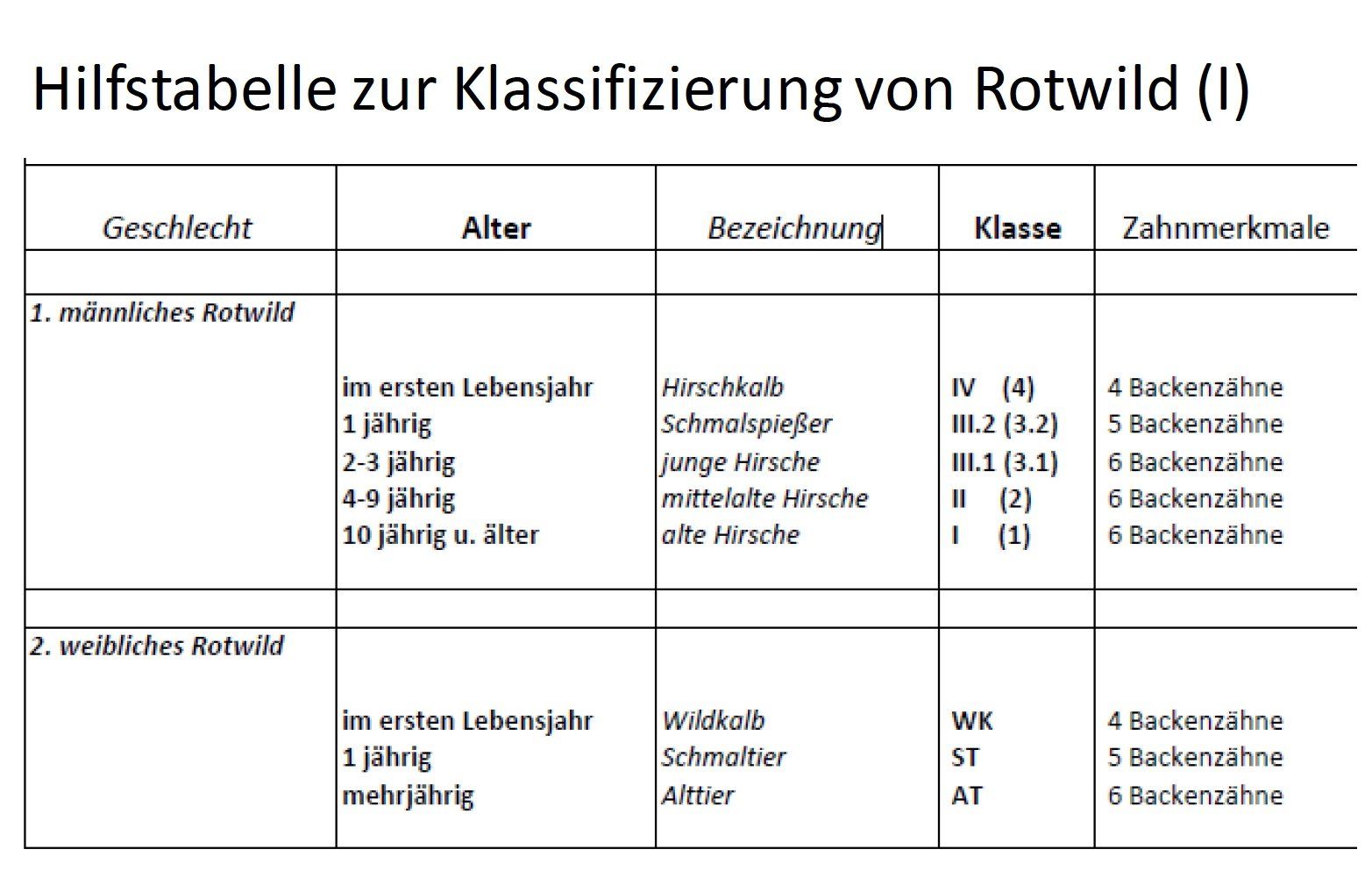 Abb. 1, oben: Der Unterkieferast mit Backenzähnen eines Kalbs. Typisch 4 Backenzähne, der dritte Backenzahn P 3 ist noch Milchzahn Abb. 1, oben: Der Unterkieferast mit Backenzähnen eines Kalbs. Typisch 4 Backenzähne, der dritte Backenzahn P 3 ist noch Milchzahn