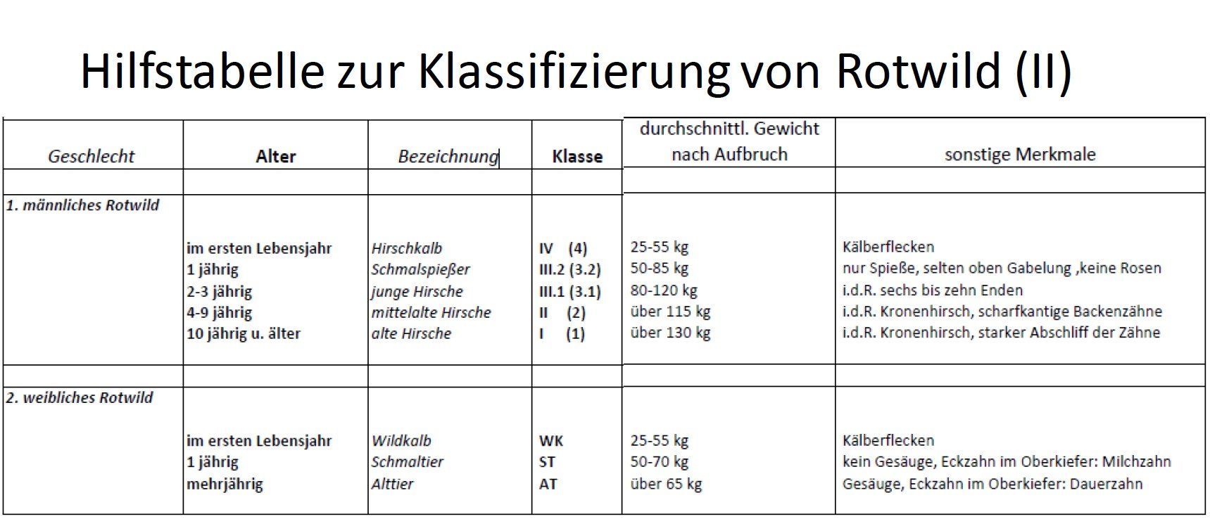Abb. 1, oben: Der Unterkieferast mit Backenzähnen eines Kalbs. Typisch 4 Backenzähne, der dritte Backenzahn P 3 ist noch Milchzahn Abb. 1, oben: Der Unterkieferast mit Backenzähnen eines Kalbs. Typisch 4 Backenzähne, der dritte Backenzahn P 3 ist noch Milchzahn