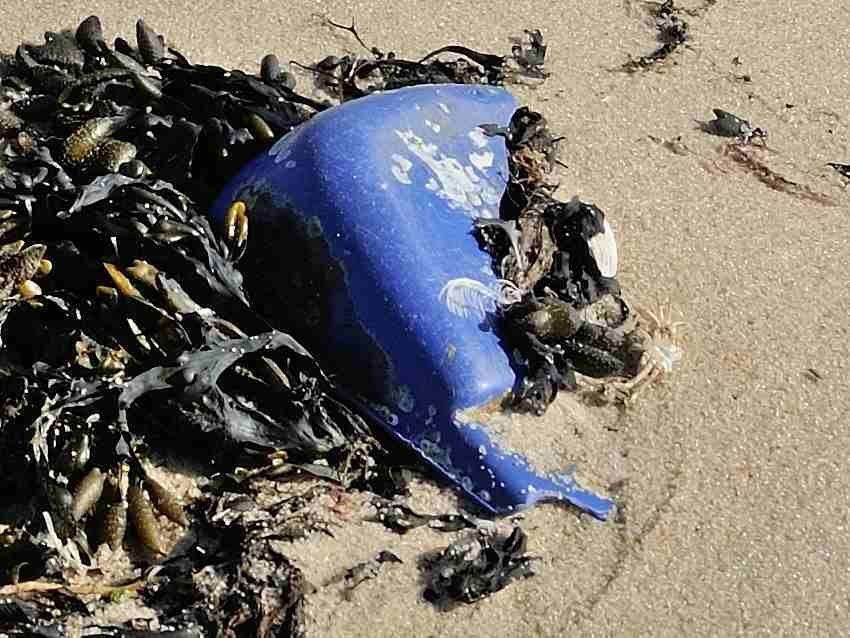 Plastikschüssel