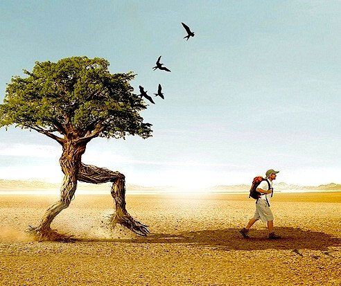 problème d'alcool, drogue, tabac, médicaments