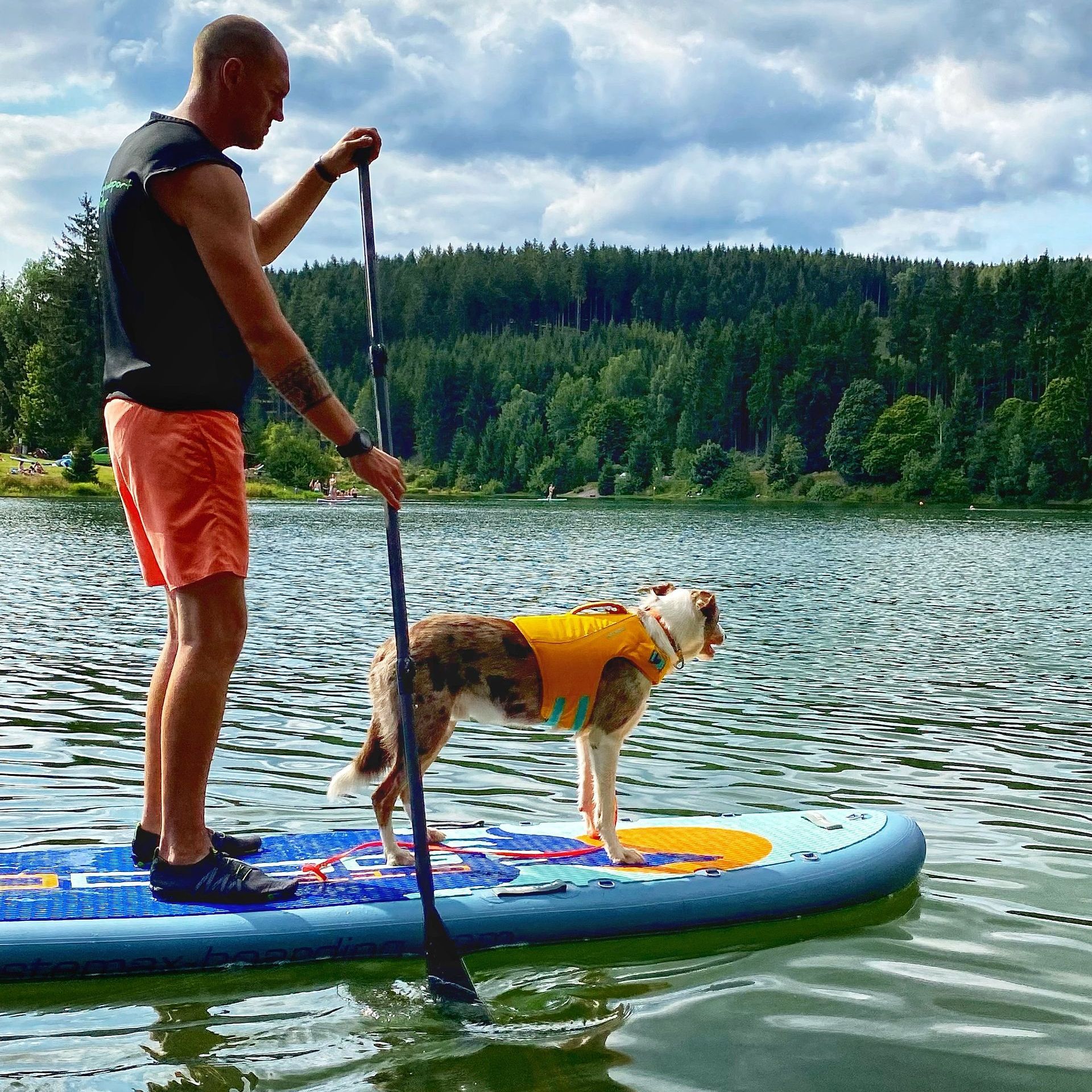 Schwimmweste für den Hund