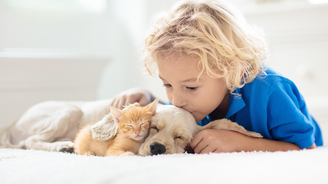 seguros de mascotas niño pequeño besando en la cabeza a un cachorro de perro y a un cachorro de gato