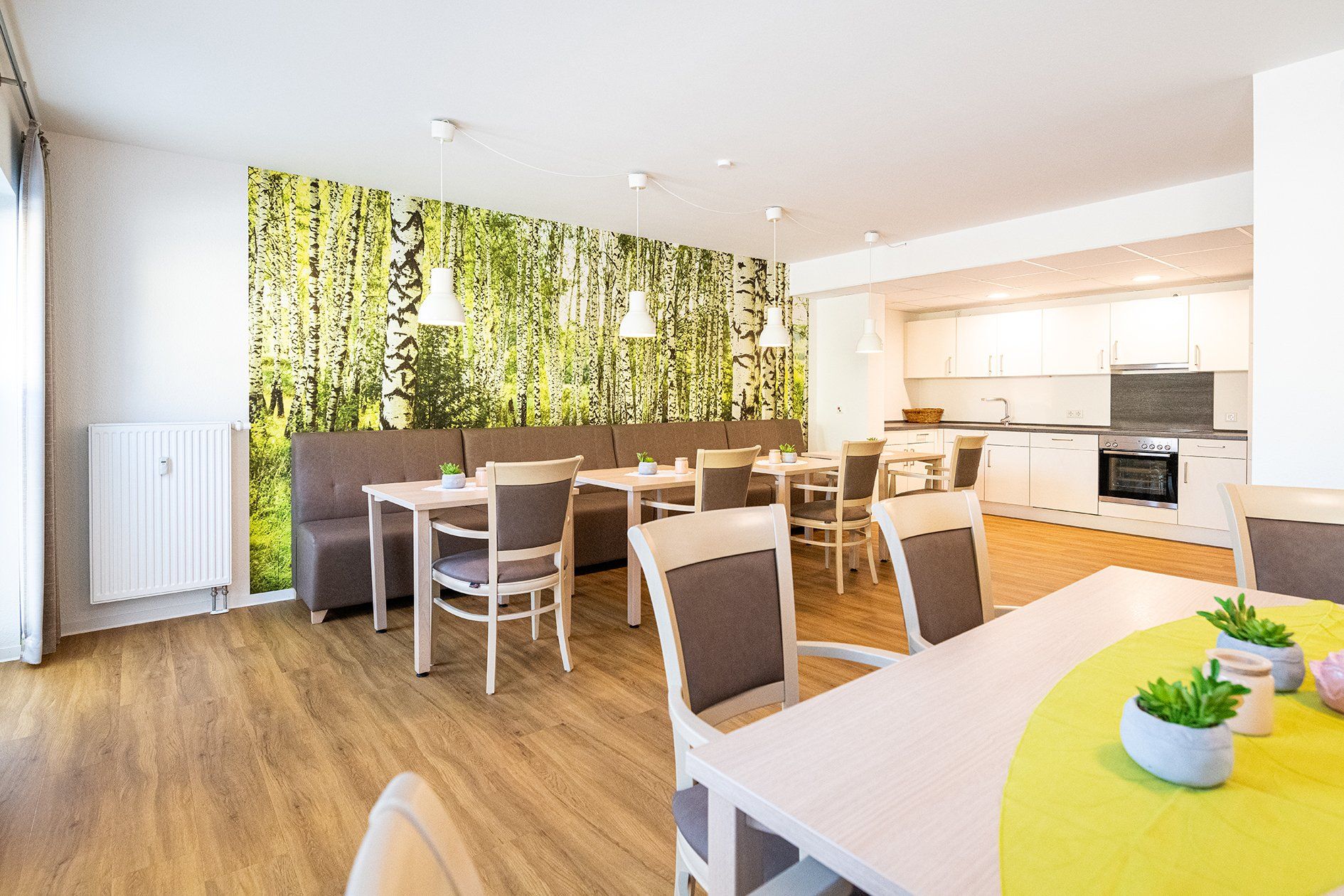 Lebenswert Bad Pyrmont, Ambulante Pflege, Seniorenpflege, Häusliche Krankenpflege, kümmern, Unterstützung, Betreeung im Alter, Senioren, Tagespflege, Kurzzeitpflege, Demenz, Pflegegrad, barrierefrei, Service-Wohnen, Betreutes Wohnen, Lebenswert Haus, Lebenswert-Haus, Grießemer Straße 25, Bad Pyrmont, Holzhausen, Terrasse, Balkon, zentral gelegen, gemeinsame Aktivitäten, gemeinsam Kochen, Gemeinschaftsraum