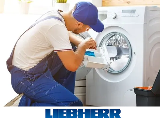 Servicio Técnico Liebherr servicio técnico liebherr las palmas