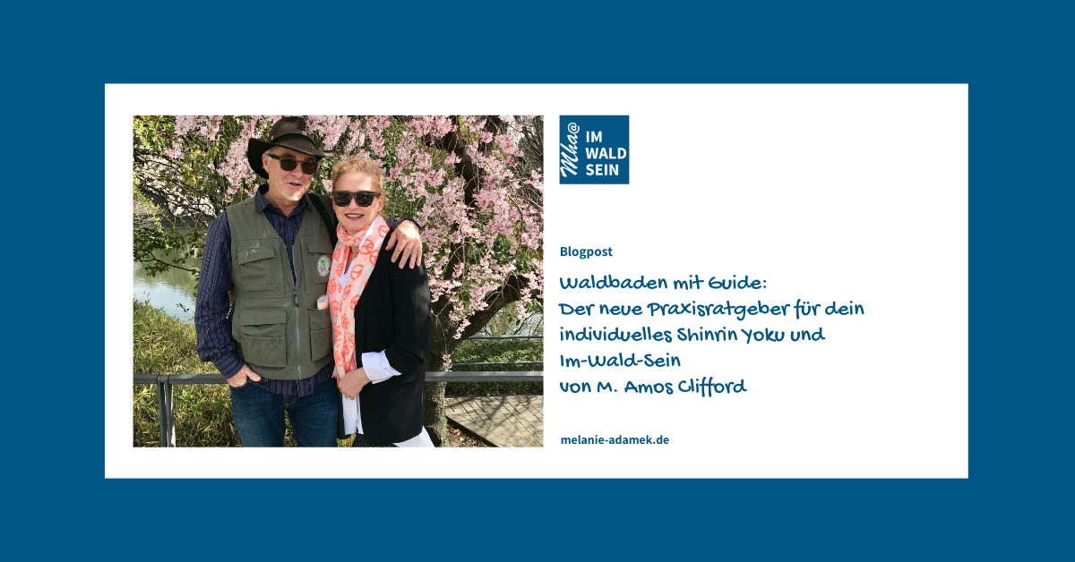 Dr. Melanie H. Adamek mit M. Amos Clifford. Waldbaden mit Guide:
neuer Praxisratgeber für dein individuelles Shinrin Yoku