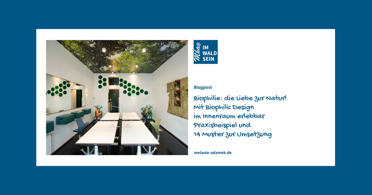 IM-WALD-SEIN® City Offices. Biophilic Coworking. Beispiel zur Umsetzung biophilen Designs in München