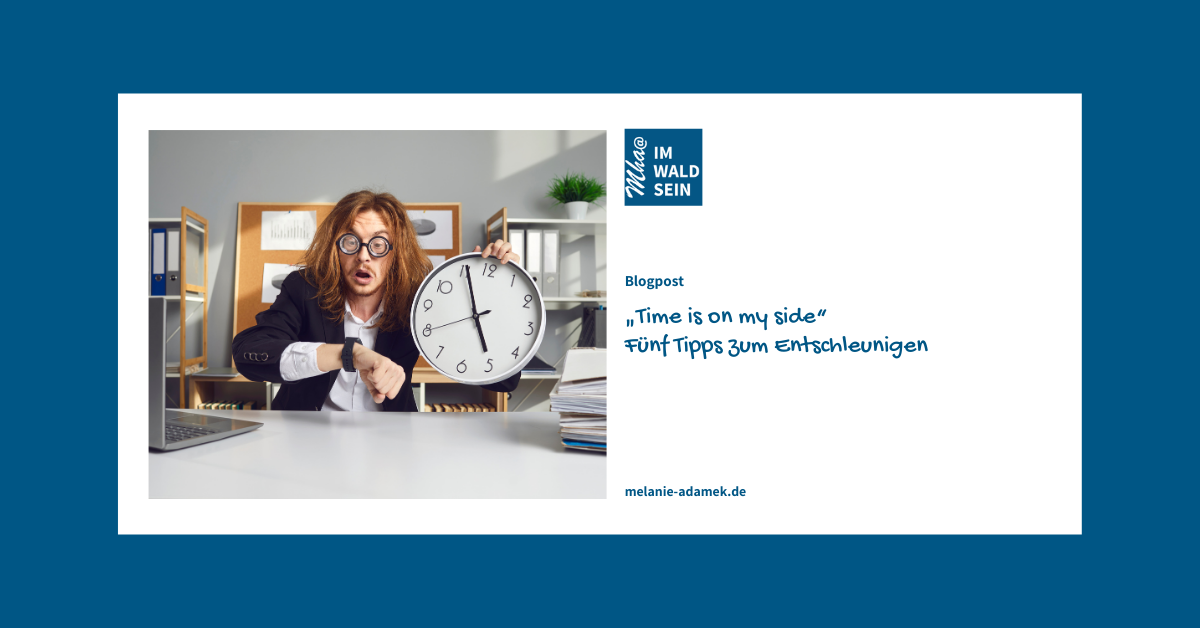 Mann am Schreibtisch ist vom Job gestresst. Der Blog-Artikel von Dr. Melanie H. Adamek zeigt fünf Tipps zum Entschleunigen