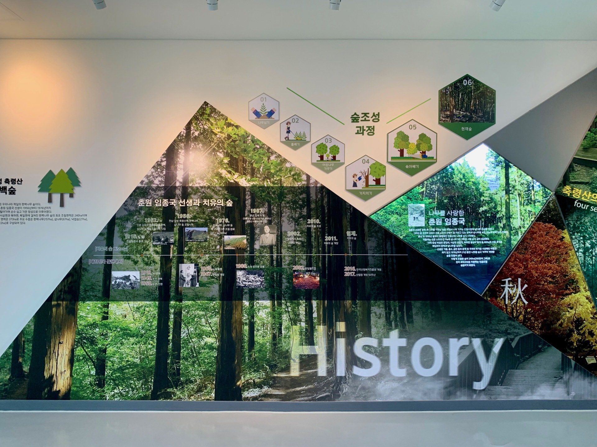 Die Geschichte der Waldheilungspolitik in Südkorea. Copyright: Dr. Melanie H. Adamek Forest Healing in Südkorea