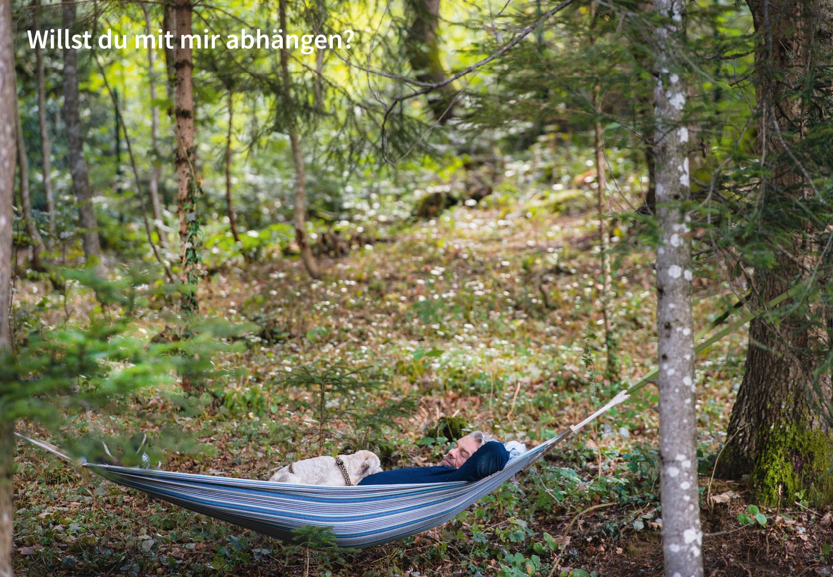 Postkartenmotiv von Bernhard Lehn. Mann mit Hund beim Waldbaden in Hängematte in idyllischem Mischwald