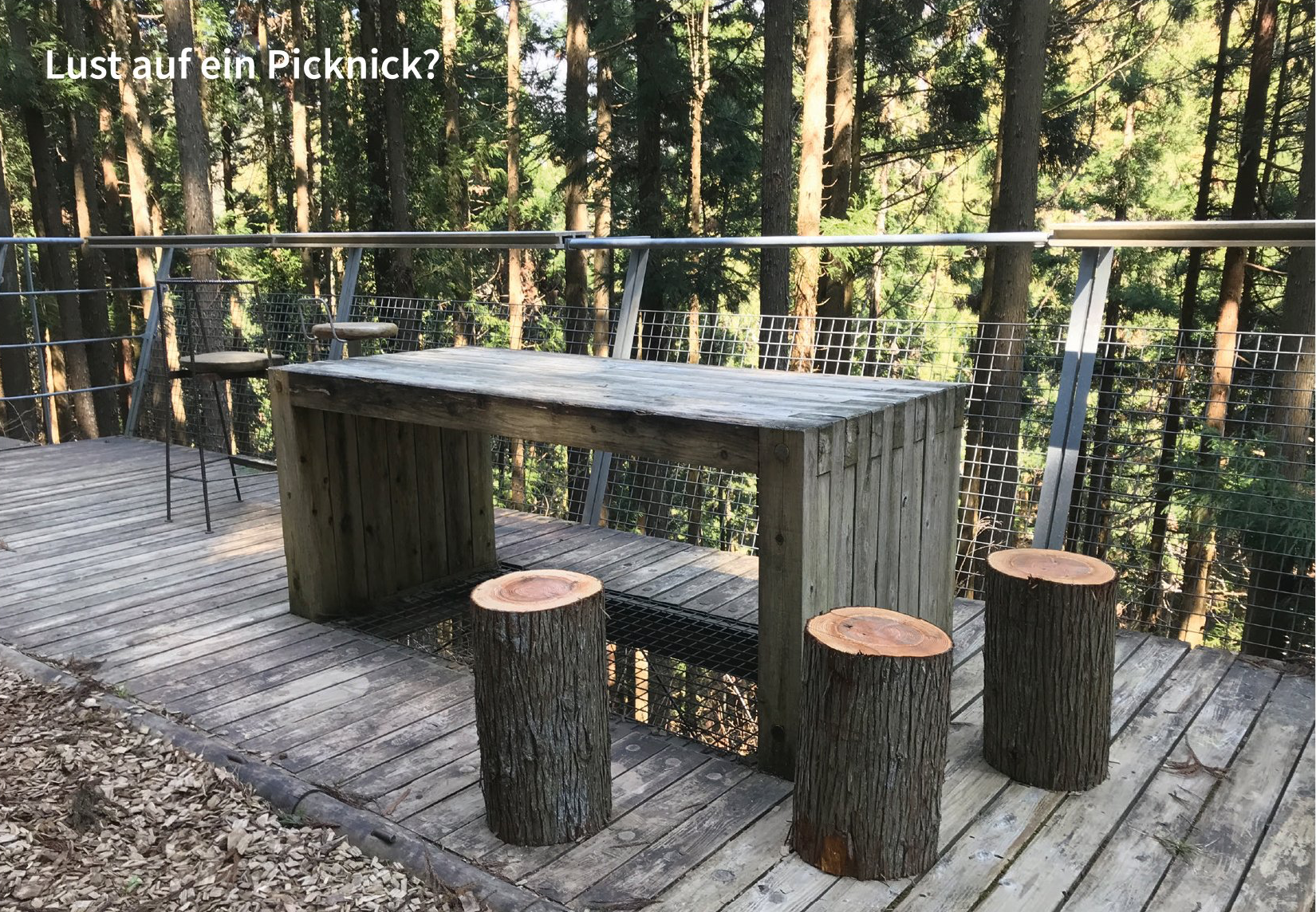 Postcard image of a picnic area in a Japanese forest therapy center, illustrating Shinrin Yoku as health prevention