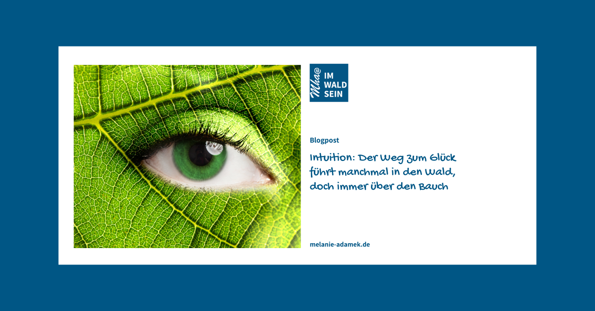 Das Auge der Intuition: Der Weg zum Glück führt manchmal in den Wald. Blog-Artikel, Dr. Melanie H. Adamek