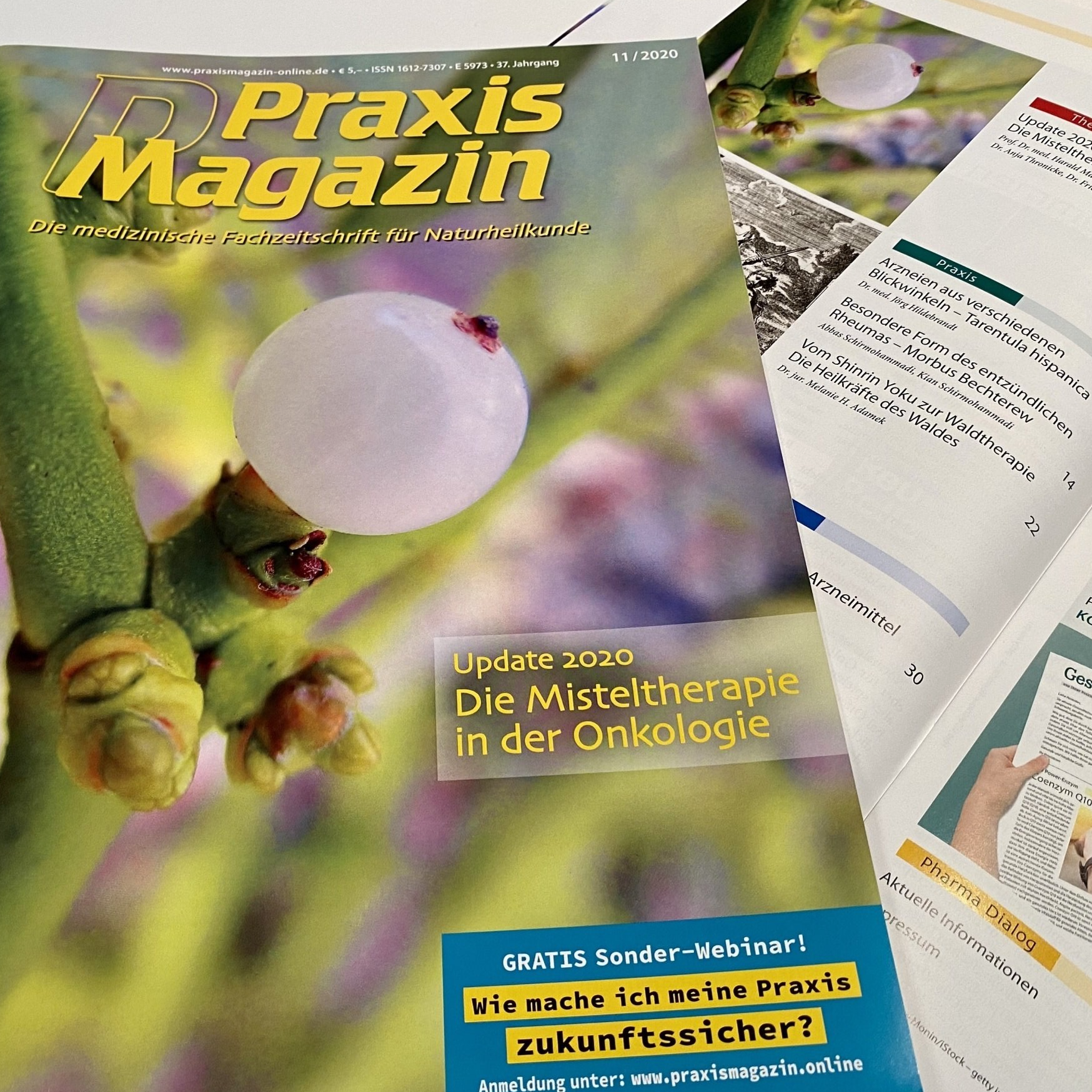 Vom Shinrin Yoku zu Waldtherapie|Dr. Melanie H. Adamek über die Heilkräfte des Waldes| PraxisMagazin. Die medizinische Fachzeitschrift für Naturheilkunde From Shinrin Yoku to forest therapy: Dr. Melanie H. Adamek on the healing powers of the forest in a natural medicine journal