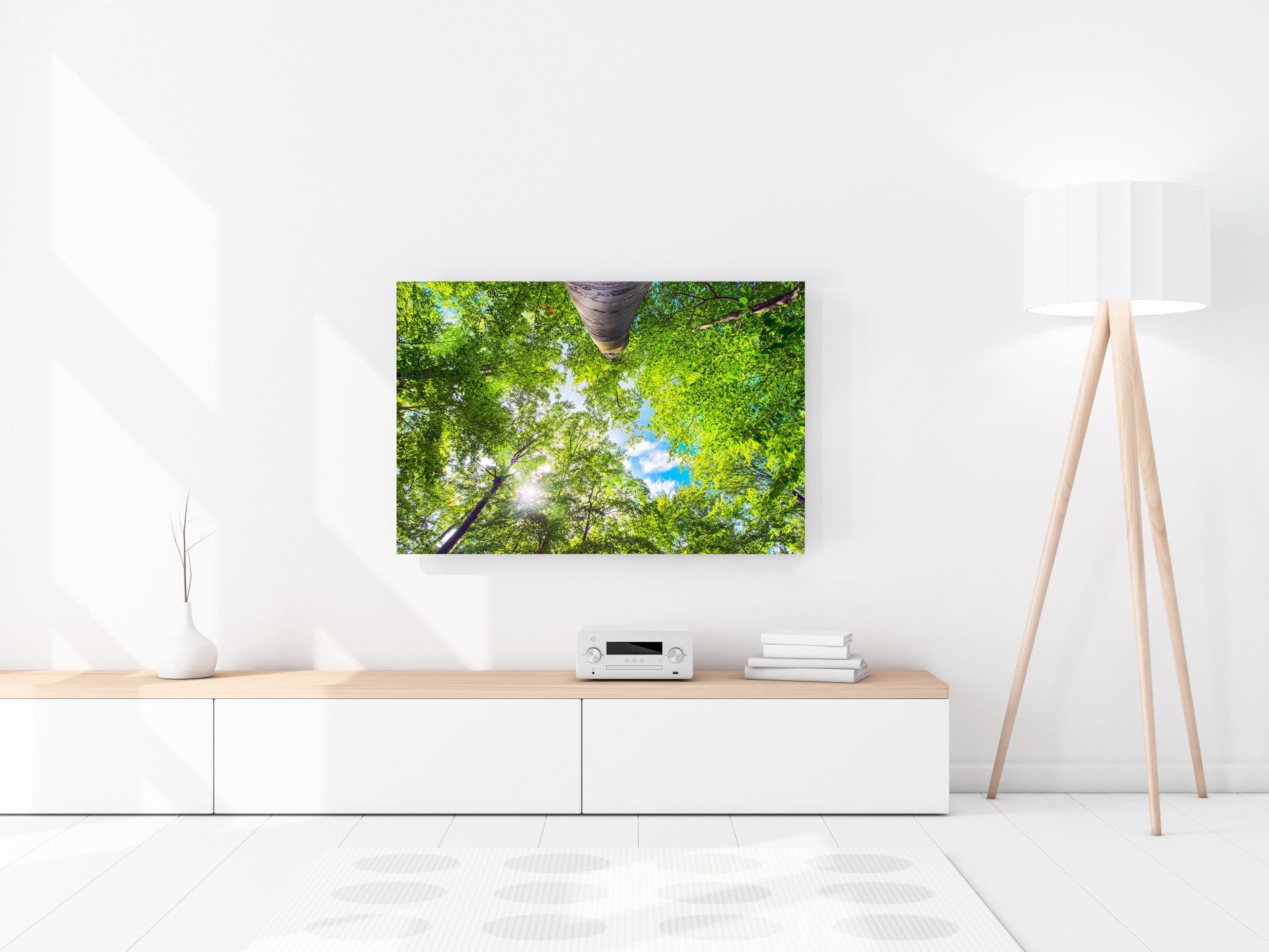 Forest motif ‘Sky Pillars.’ Aluminum Dibond or gallery print. Photographic art by Bernhard Lehn