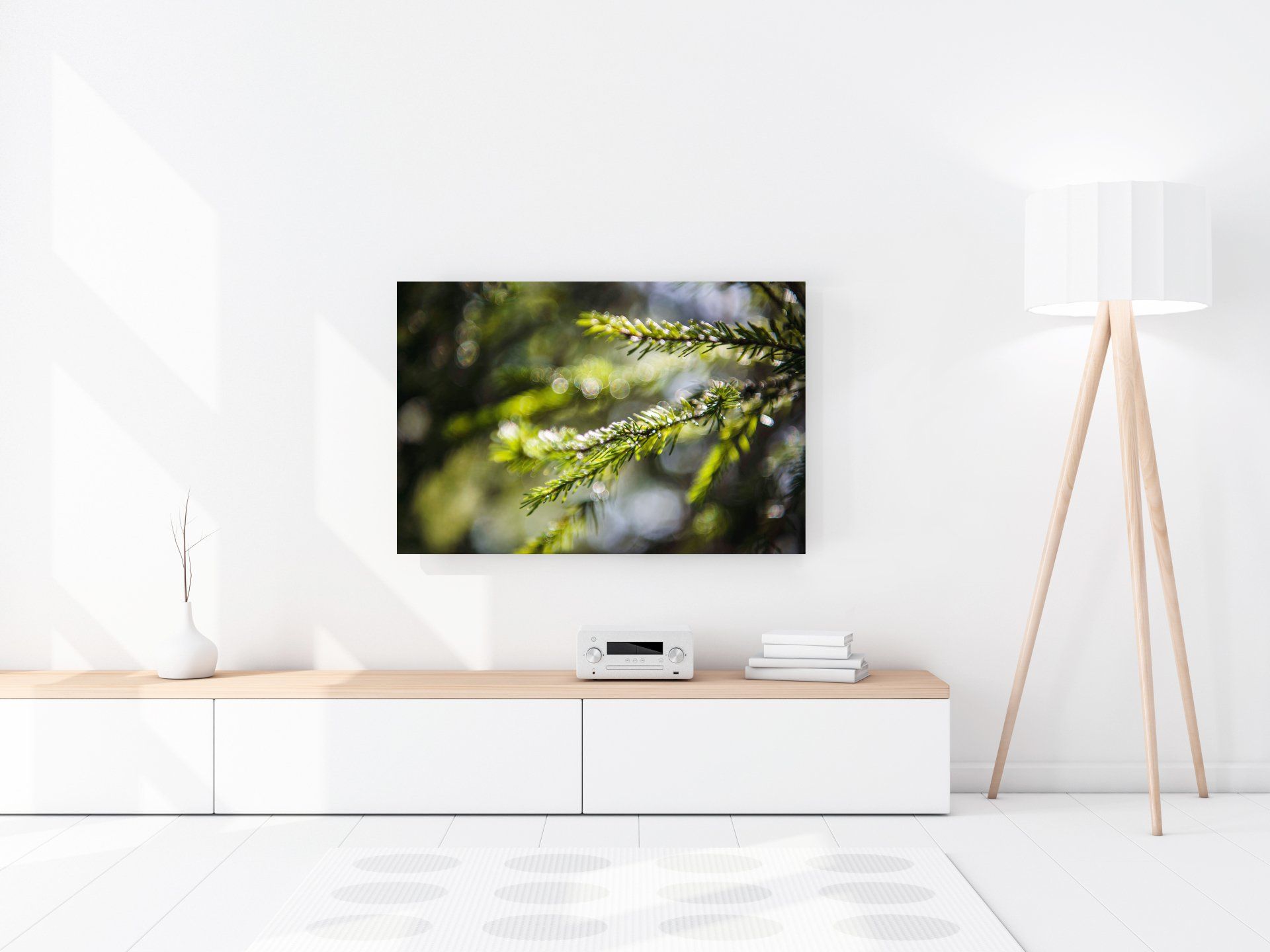 Forest motif ‘Dew Diamonds’: after rain, the sun backlights the droplets. High-quality photographic art by Bernhard Lehn