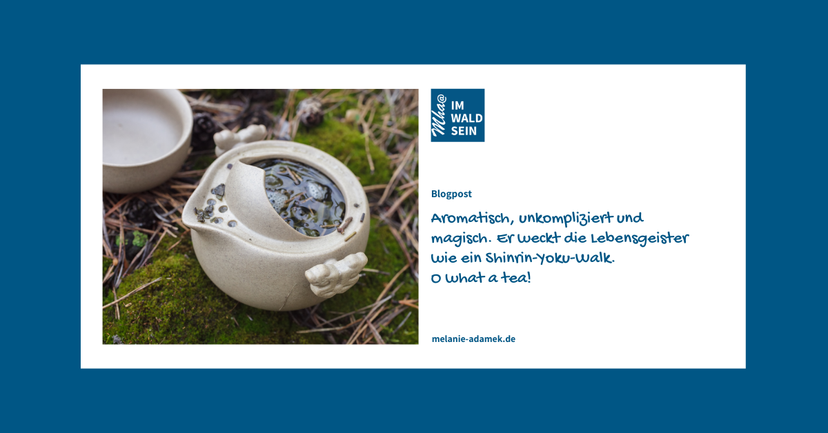 Tee im Wald. Teezeremonie beim Waldbaden und Shinrin Yoku. Blog von Dr. Melanie H. Adamek zu Wald, Gesundheit, Wohlbefinden.