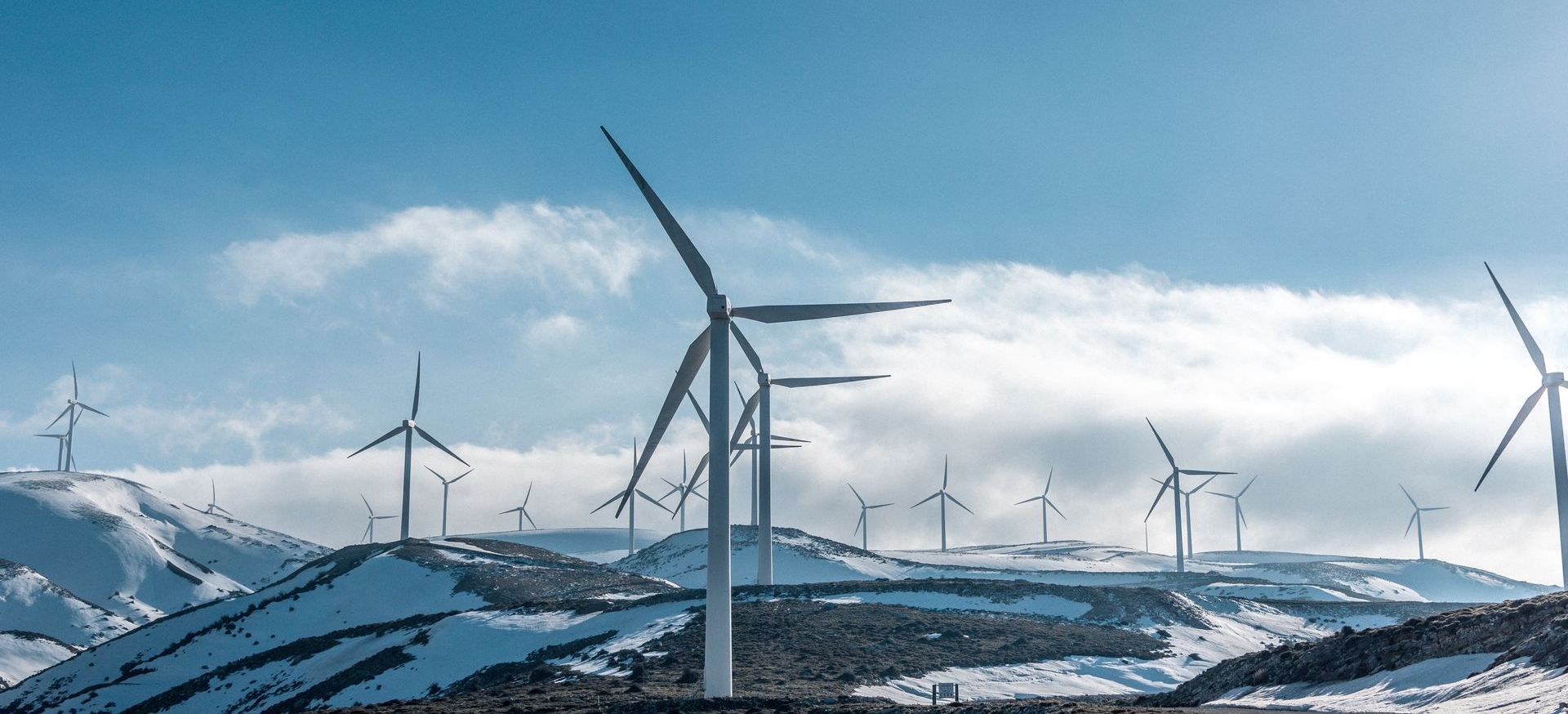 Photo d'un champ d'éolienne représentant l'importance de la RSE et de pratiques plus verte.