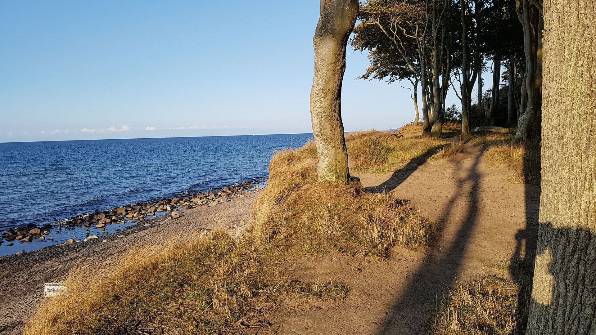 Unterkunft Börgerende