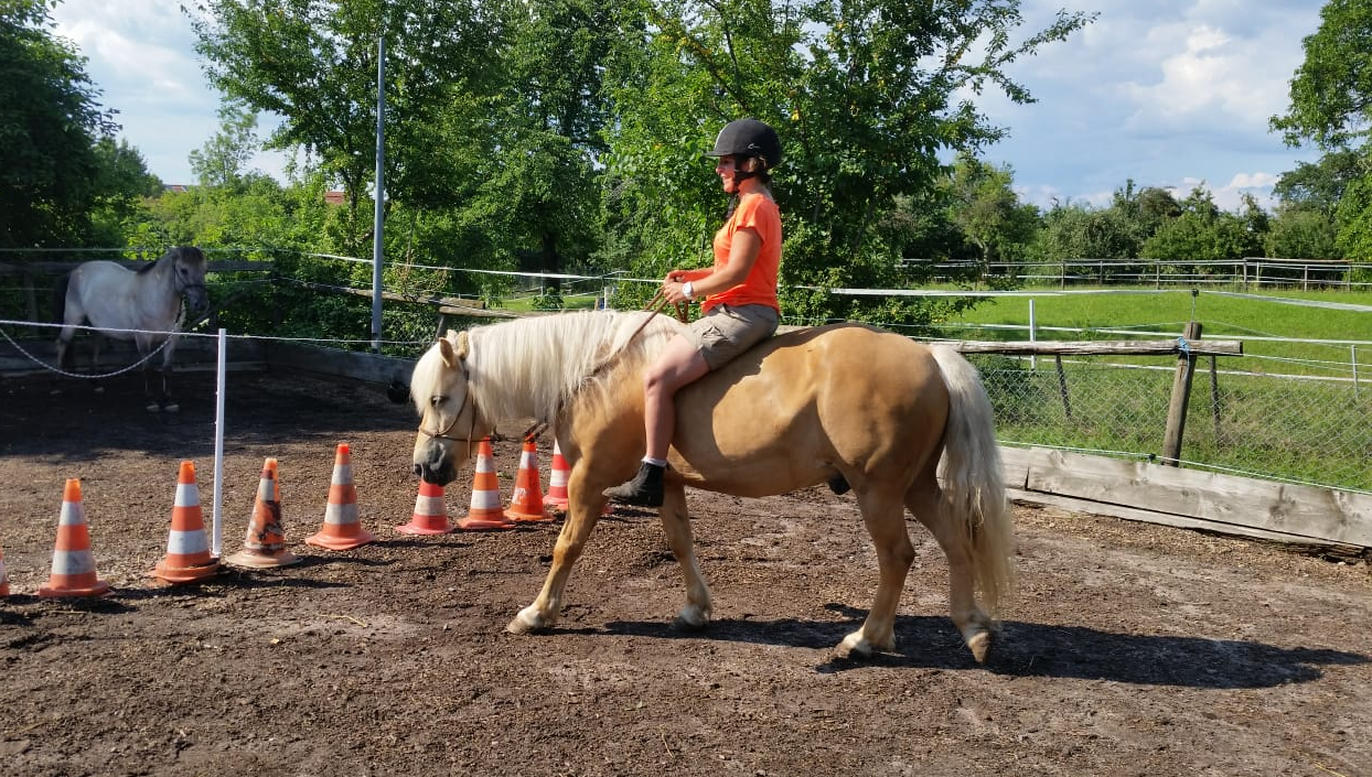 natürliches Reiten am lockeren Zügel Ssusanne auf Noldi ohne Sattel